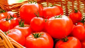 receta-salsa-de-tomate